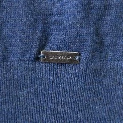 Großhandel 🔥 OLYMP V-Pullover 0151/10/19 Casual Body Fit, Schurwolle-Seide, Royal meliert, Royal 🤩 8 Großhandel 🔥 OLYMP V-Pullover 0151/10/19 Casual Body Fit, Schurwolle-Seide, Royal meliert, Royal 🤩 -Pullover & Strickjacken Verkäufe 232726 norm3